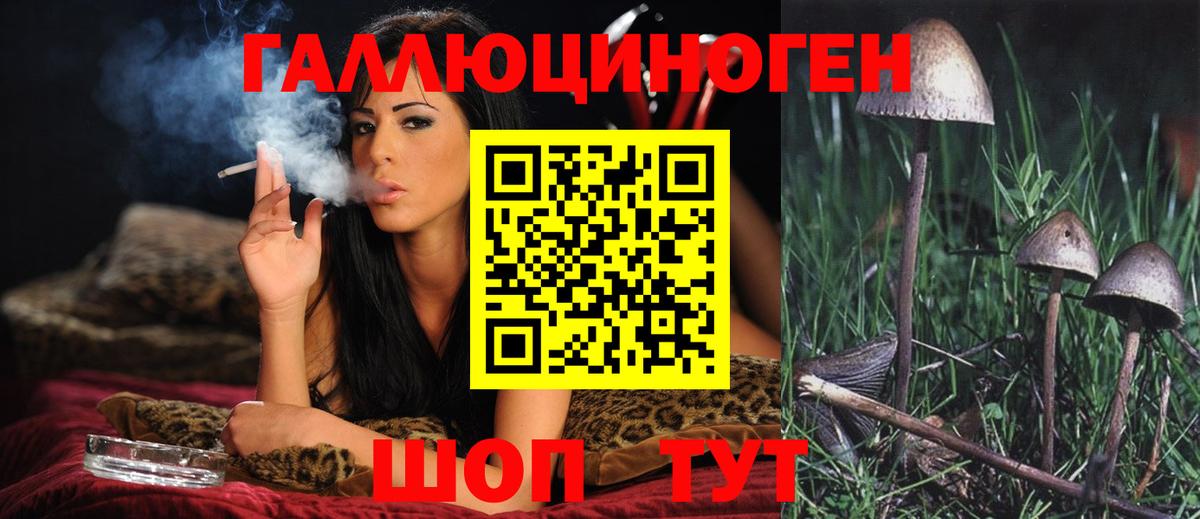 Псилоцибиновые грибы Magic Shrooms  Вход с VPN  Ачхой-Мартан 